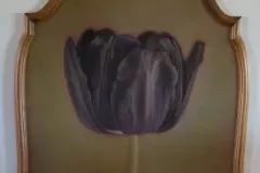 BlackTulipnPatriciasTulip