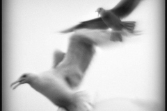 4_flight