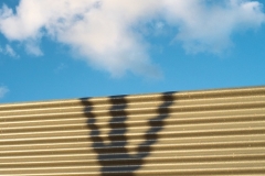 006_coincidence_project