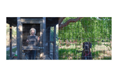 12LeslieDogDiptych