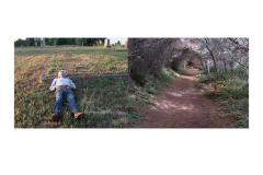 13IggsCemeteryWoodsDiptych