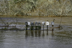 FloodedMailboxes