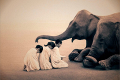 GregoryColbert10