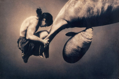 PHOT-gregory-colbert-14
