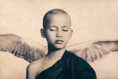 PHOT-gregory-colbert-17