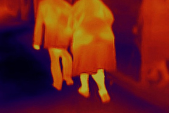 08-flir_20200410T174109-560x747