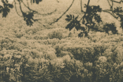 1_29
