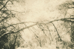 70