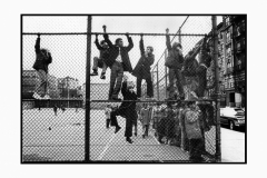 3.CLIMBINGTHEFENCE1974