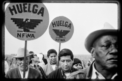 Paul-Fusco-071