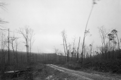 Genitempo_Jasper_16