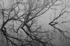 paul_hart_fragile_December_IV