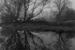 paul_hart_fragile_February_I