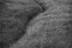 paul_hart_fragile_July_I