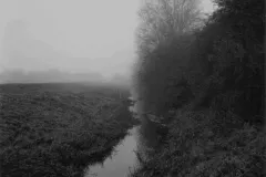 paul_hart_fragile_November_I
