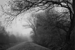 paul_hart_fragile_November_II