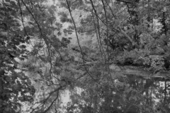 paul_hart_september_I