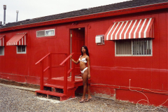 the-brothel-jane-hilton-3