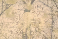 Captura-de-pantalla-2024-10-31-a-las-6.07.23