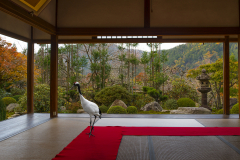 6.Journey-to-the-Great-Sage