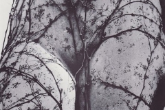FOTONUDE-Vilém-Reichmann-1941
