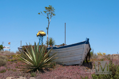 Campohermoso ( Cabo de Gata, Almeria ) Spain. An abandonded rowboat overgrown with desert plants sits near a wrecking yard and used car lot near this small agricultural town near the southern Mediterranean coast of the Iberian peninsula. (2009) ¬©Larry Mangino.