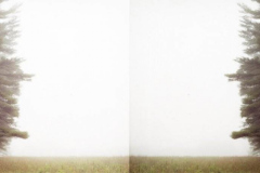 Estudio-de-campo_13
