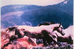Fernley  15 (2)