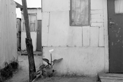 Townhill_Live-after-apartheid-2004-2015_84