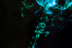 instar-06