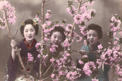 Eliza-Ruhamah-Scidmore-Maiko-durante-una-ceremonia-del-te-c1912-fotografia-en-blanco