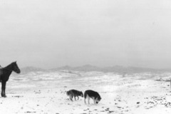 Pentti_Sammallahti_17