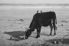 Pentti_Sammallahti_25