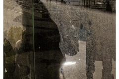 BSC100_026