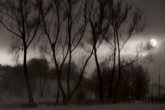 ler_001