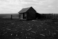 shack