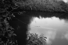 SC-10-98-004-01-copy
