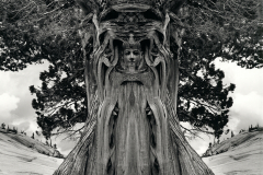 jerry_uelsmann_13