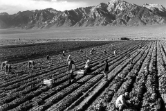 512px-Ansel_Adams_-_Farm_workers_and_Mt._Williamson