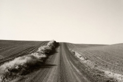 robert_adams_1