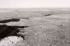 robert_adams_10
