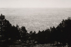 robert_adams_11