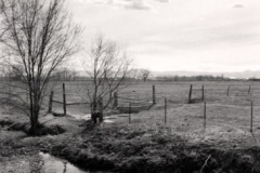 robert_adams_18