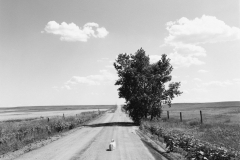 robert_adams_2