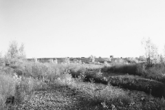 robert_adams_21