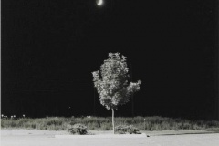 robert_adams_22