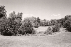 robert_adams_26