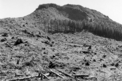 robert_adams_33