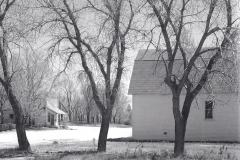 robert_adams_39