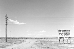 robert_adams_4